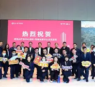 风云突变！广东宏远集结日篮板制胜，德甲版图或变，压力陡增，阵容厚度经受考验的简单介绍